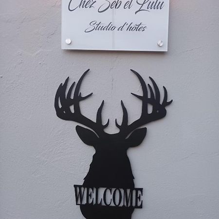 Chez Seb & Lulu, Studio D'Hotes Neufchâteau 외부 사진